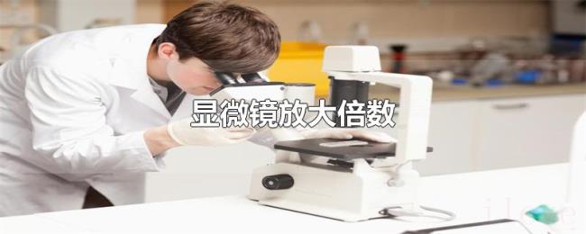 显微镜放大倍数 显微镜放大倍数