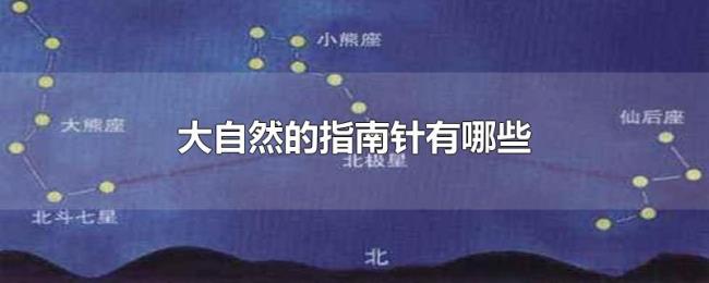 大自然的指南针有哪些