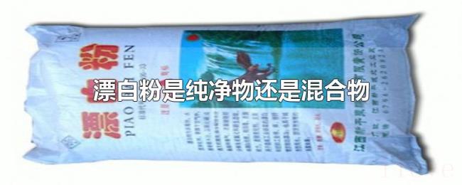 漂白粉是纯净物还是混合物 漂白粉是纯净物还是混合物