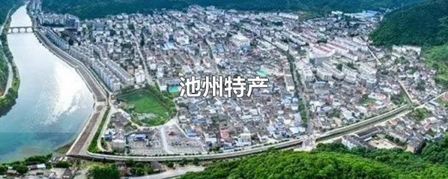 池州特产