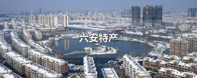 六安特产