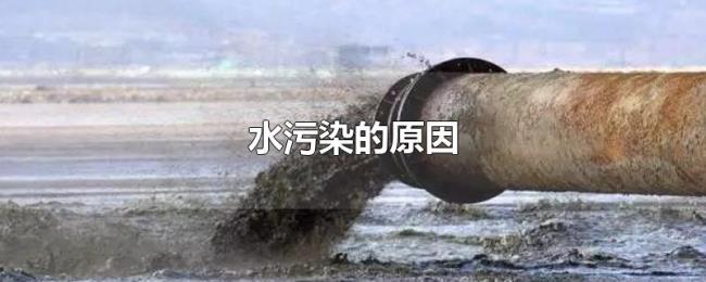 水污染的原因 水污染的原因