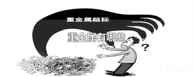 重金属有哪些