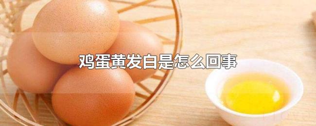 鸡蛋黄发白是怎么回事