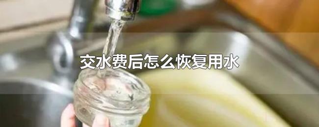 交水费后怎么恢复用水