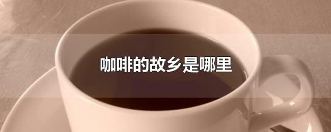 咖啡的故乡是哪里 咖啡的故乡是哪里
