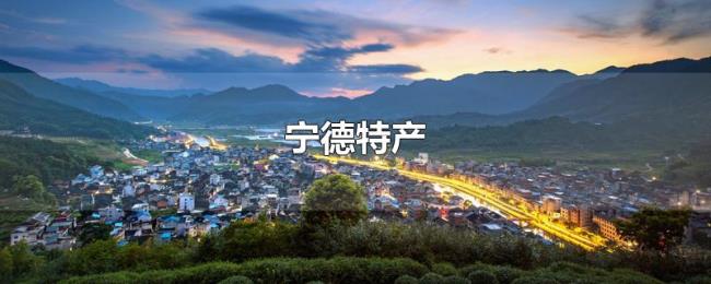 宁德特产 宁德特产