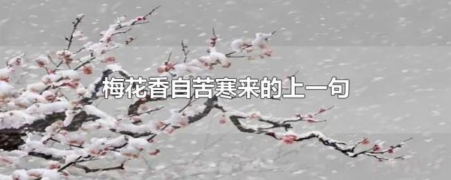 梅花香自苦寒来的上一句 梅花香自苦寒来的上一句