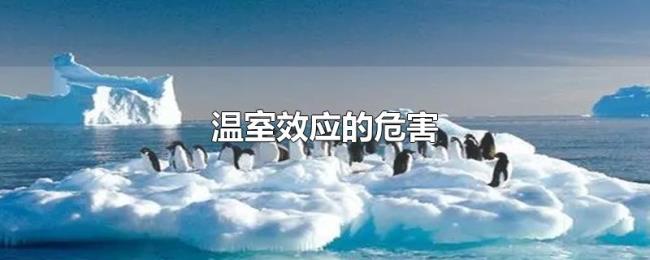 温室效应的危害 温室效应的危害