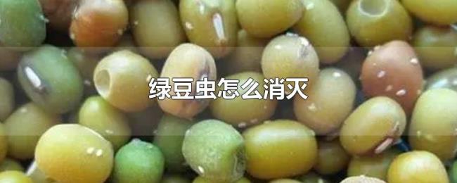 绿豆虫怎么消灭 绿豆虫怎么消灭
