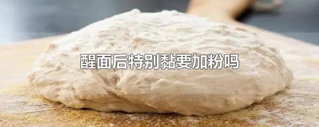 醒面后特别黏要加粉吗 醒面后特别黏要加粉吗