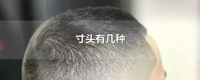 寸头有几种 寸头有几种