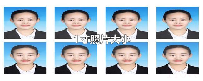 1寸照片大小 1寸照片大小