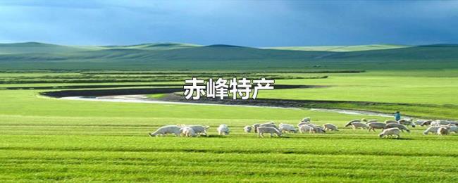 赤峰特产 赤峰特产