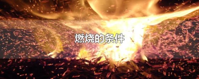 燃烧的条件