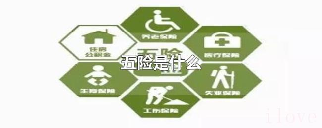 五险是什么 五险是什么