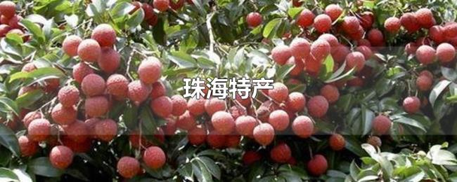 珠海特产