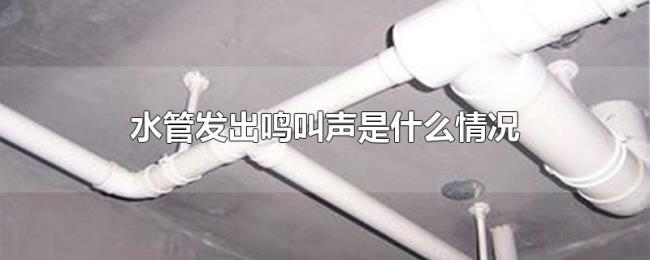 水管发出鸣叫声是什么情况 水管发出鸣叫声是什么情况