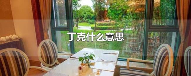 丁克什么意思 丁克什么意思
