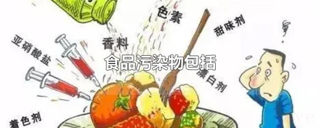 食品污染物包括