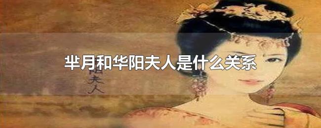 芈月和华阳夫人是什么关系 芈月和华阳夫人是什么关系