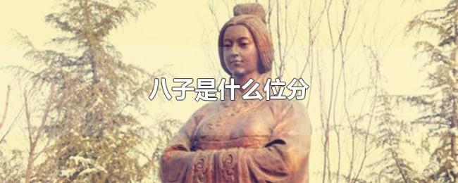 八子是什么位分 八子是什么位分