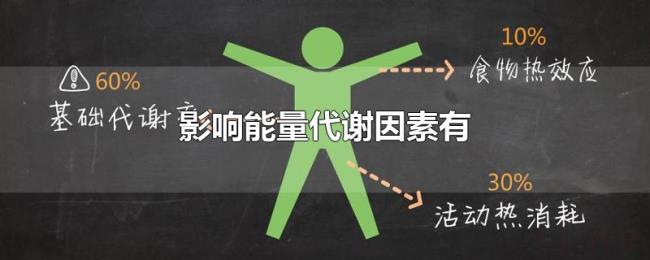 影响能量代谢的因素有 影响能量代谢的因素有