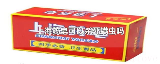 上海药皂可以杀死螨虫吗 上海药皂可以杀死螨虫吗