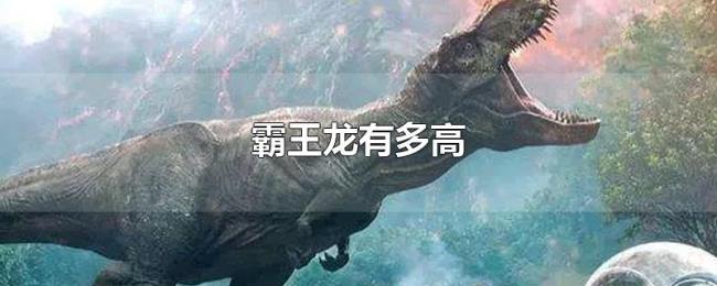霸王龙有多高