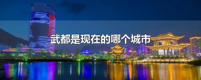 武都是现在的哪个城市 武都是现在的哪个城市