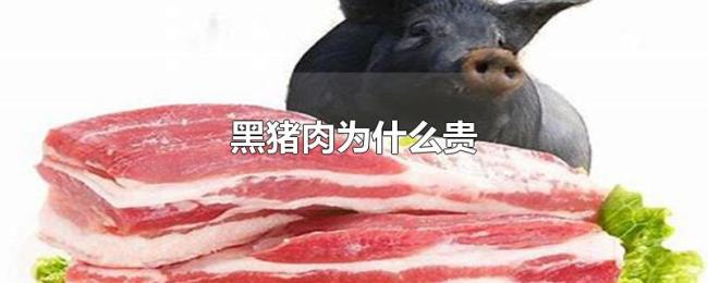 黑猪肉为什么贵 黑猪肉为什么贵