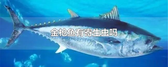 金枪鱼有寄生虫吗 金枪鱼有寄生虫吗