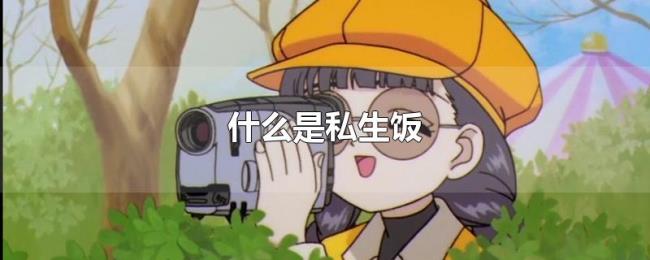 什么是私生饭 什么是私生饭