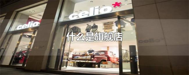 什么是旗舰店