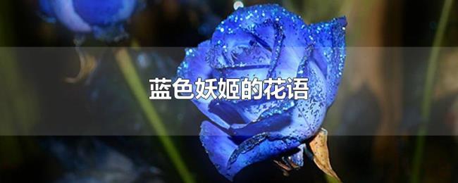 蓝色妖姬的花语