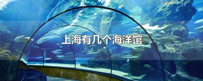 上海有几个海洋馆