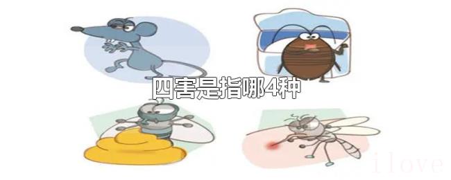四害是指哪4种