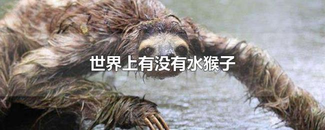 世界上有没有水猴子 世界上有没有水猴子