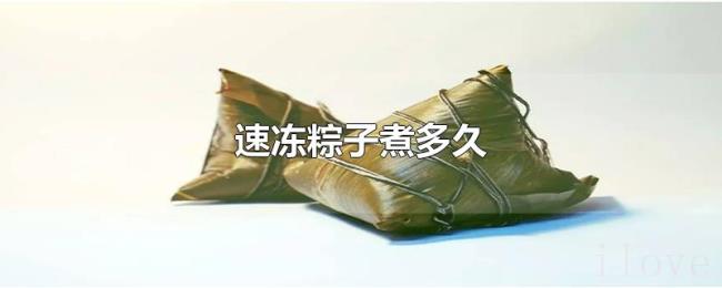 速冻粽子煮多久 速冻粽子煮多久
