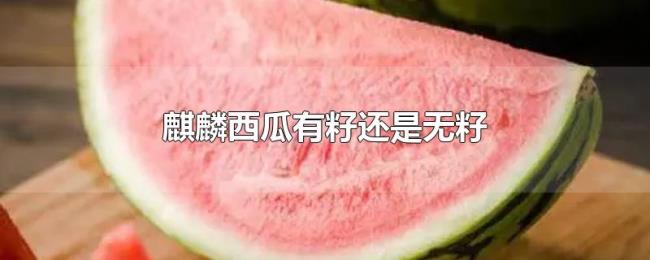 麒麟西瓜有籽还是无籽 麒麟西瓜有籽还是无籽