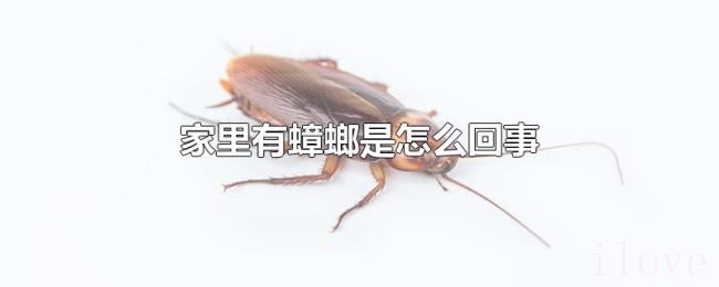 家里有蟑螂是怎么回事 家里有蟑螂是怎么回事