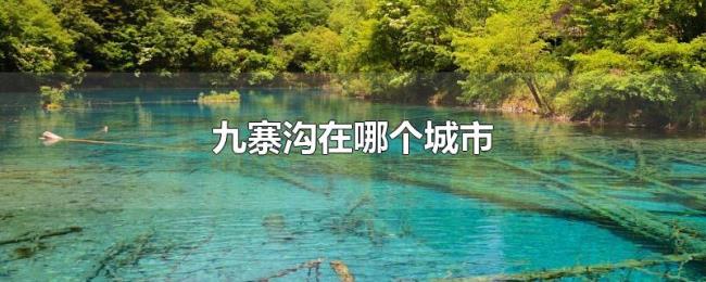 九寨沟在哪个城市