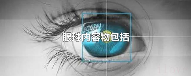 眼球内容物包括 眼球内容物包括