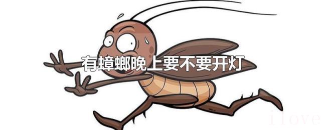 有蟑螂晚上要不要开灯