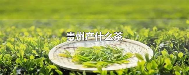 贵州产什么茶 贵州产什么茶