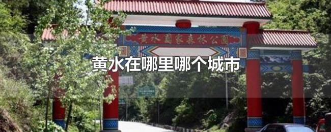 黄水在哪里哪个城市 黄水在哪里哪个城市