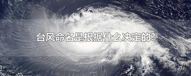 台风命名是根据什么决定的? 台风命名是根据什么决定的?