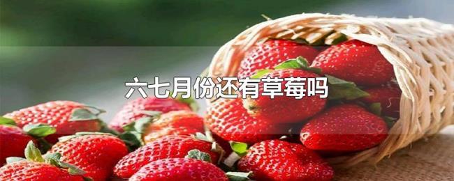 六七月份还有草莓吗 六七月份还有草莓吗