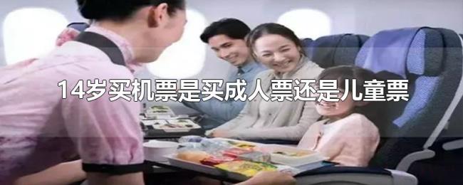 14岁买机票是买成人票还是儿童票