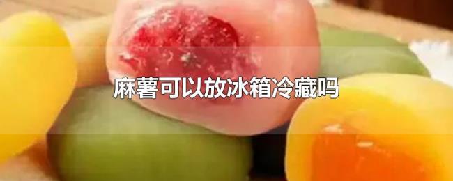 麻薯可以放冰箱冷藏吗 麻薯可以放冰箱冷藏吗